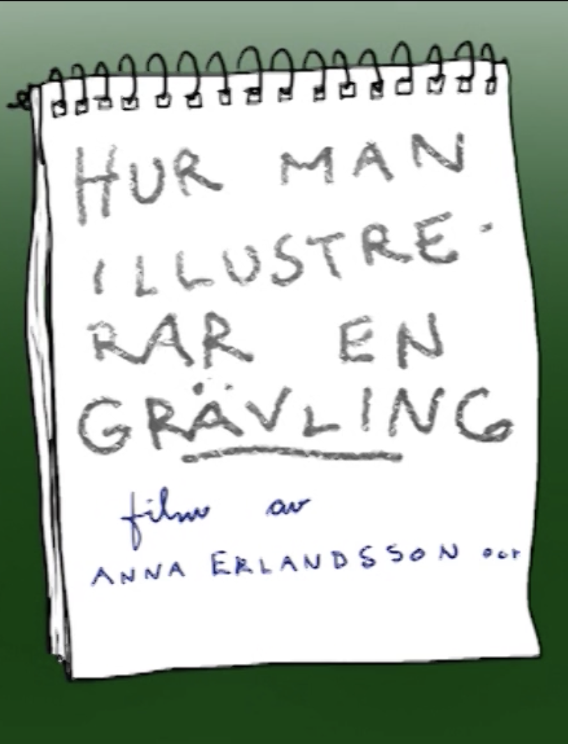 Hur man illustrerar en grävling