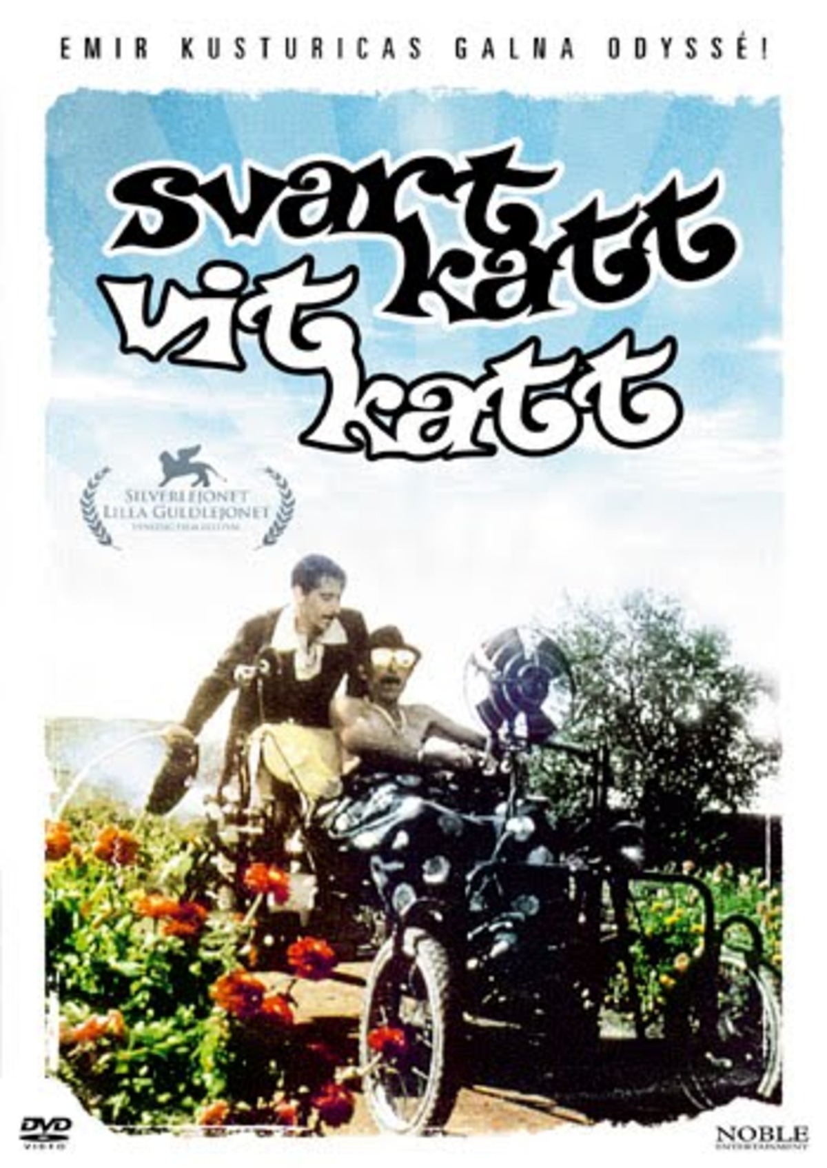 Svart katt, vit katt