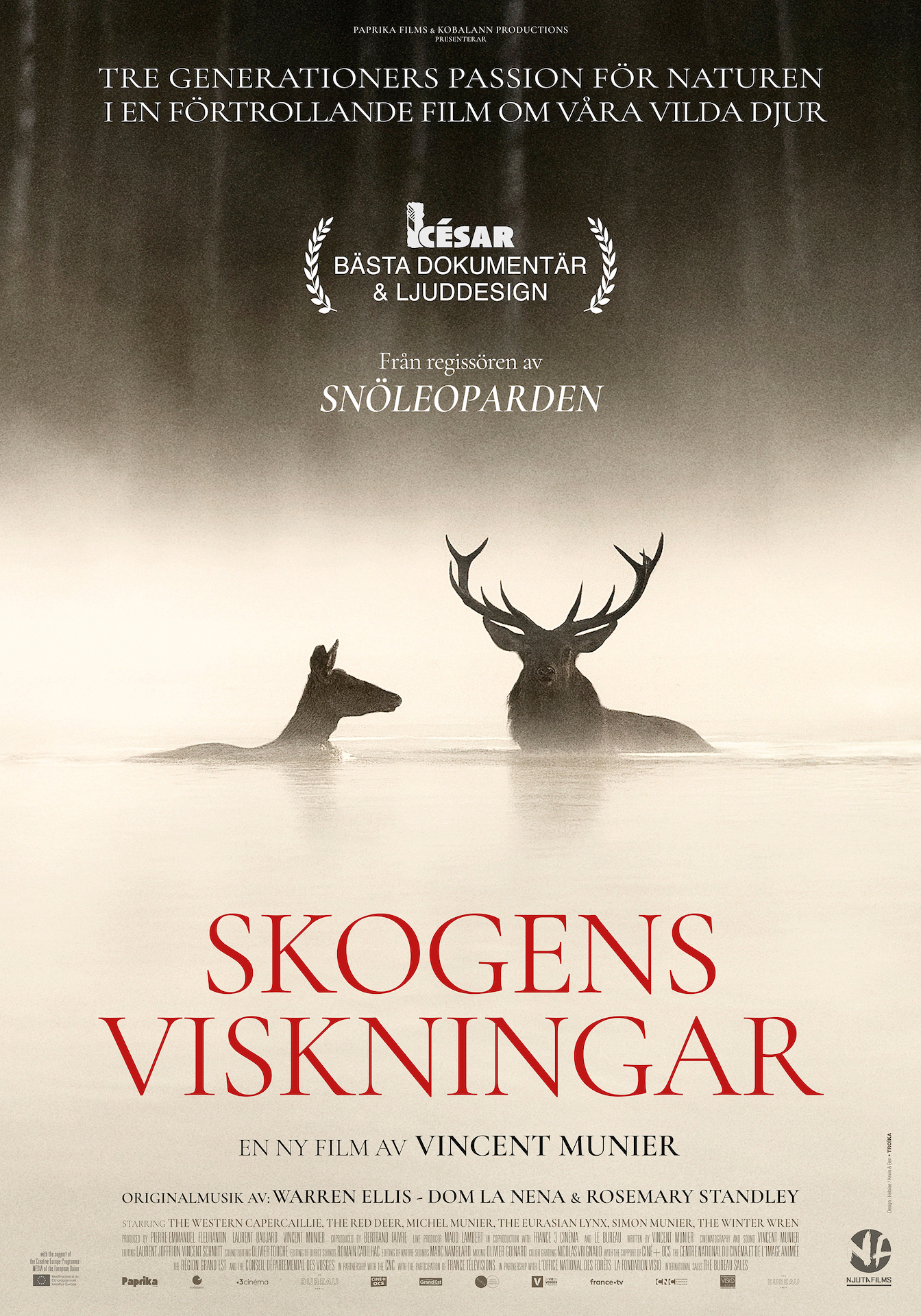 Skogens viskningar