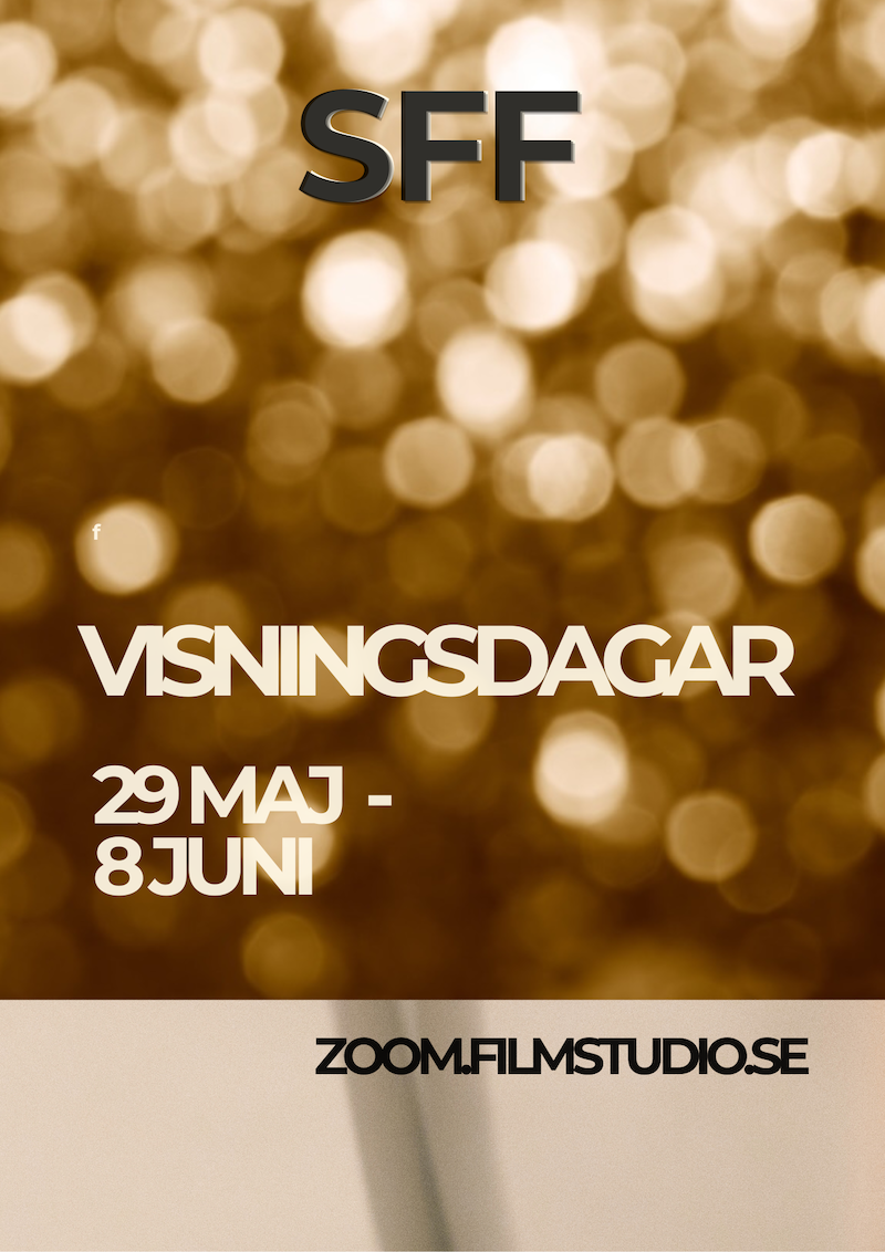 Visningsdagar