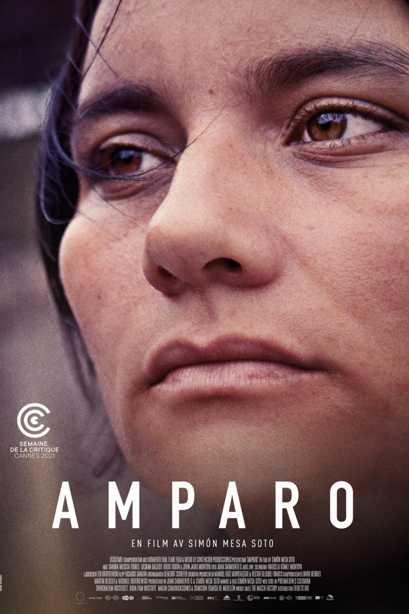 Amparo