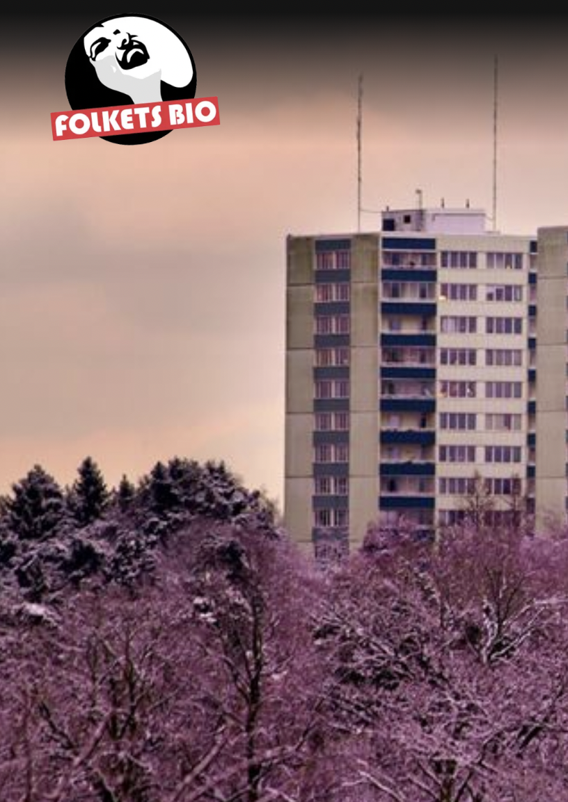 Mina drömmars land: Om svalorna landar